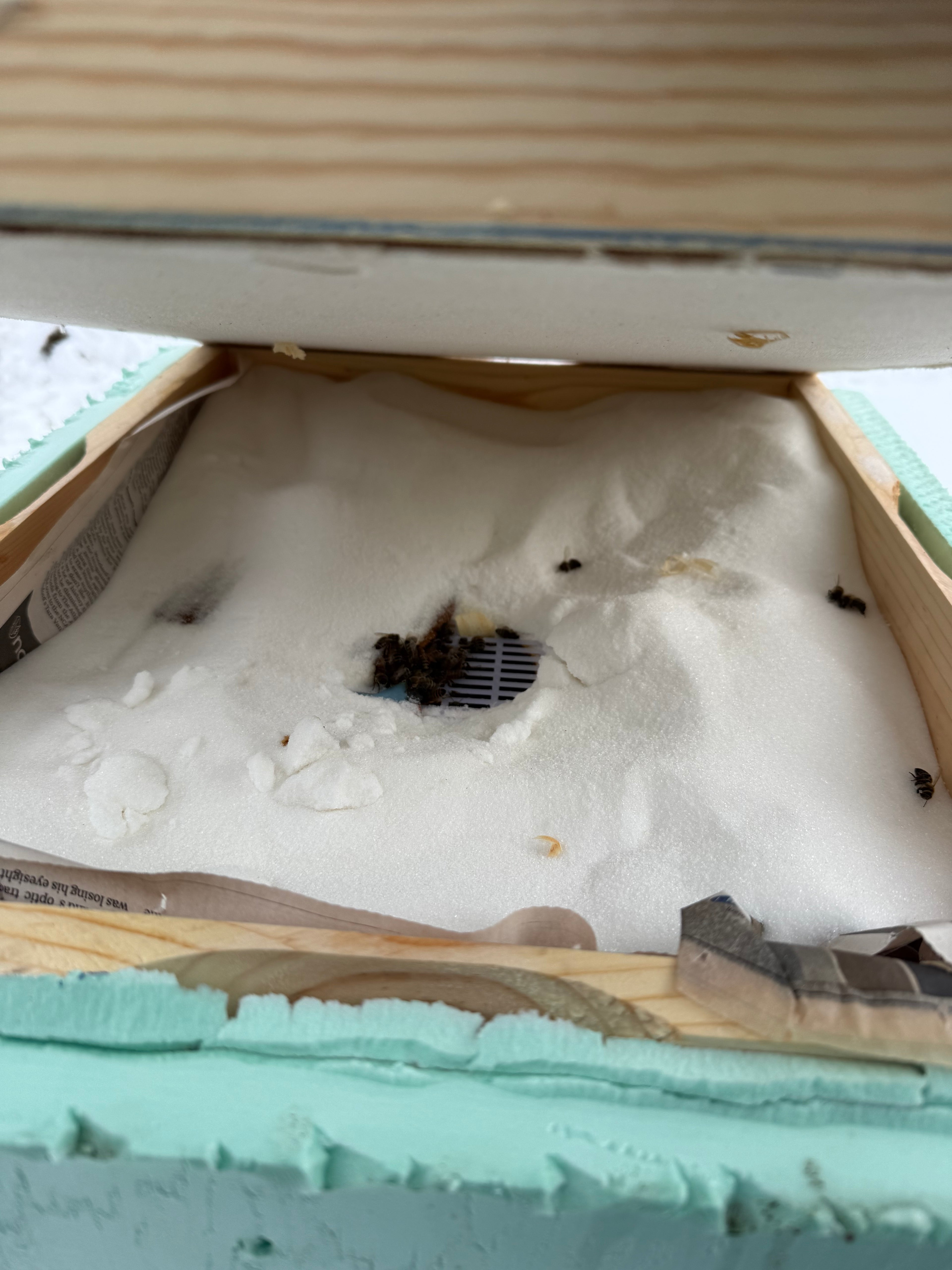 Honey by the pound, when available!